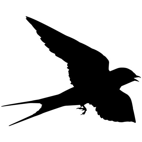 black swallows|Swallows and Swifts Browse by Shape, All About Birds, Cornell .